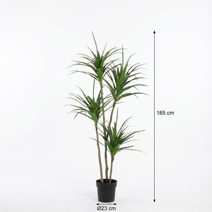 Dracaena plante artificielle h165cm