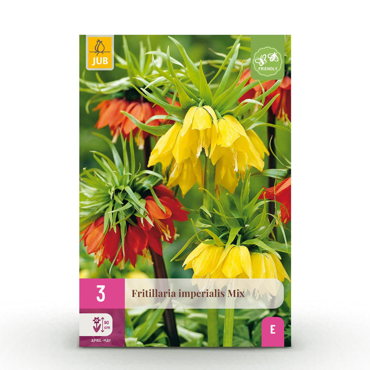 Green boutiQ - Bloembollen - Fritillaria Imperialis Mix - Kleur Geel en Oranje - 3 stuks - Bolmaat 18/20 - XXL Pack
