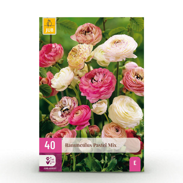 Green boutiQ - Bloembollen - Ranunculus Pastel Mix - Diversen Kleuren - 40 stuks - Bolmaat 5/6 - XXL Pack