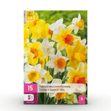 Green boutiQ - Bloembollen - Narcis Large Cupped mix - Kleur Geel en Wit - 15 stuks - Bolmaat 12/14 - XXL Pack