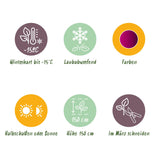 Green boutiQ - Terrasplant - Japanse Esdoorn - Acer palmatum Skeetsers Broom - Paars - 2 Planten - Bladverliezend - Pot 19cm Hoogte 70cm