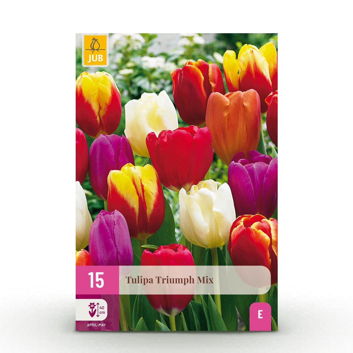 Green boutiQ - Bloembollen - Tulp Triumph mix - Diversen kleuren - 15 stuks - Bolmaat 11/12 - XXL Pack