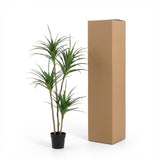 Dracaena plante artificielle h165cm