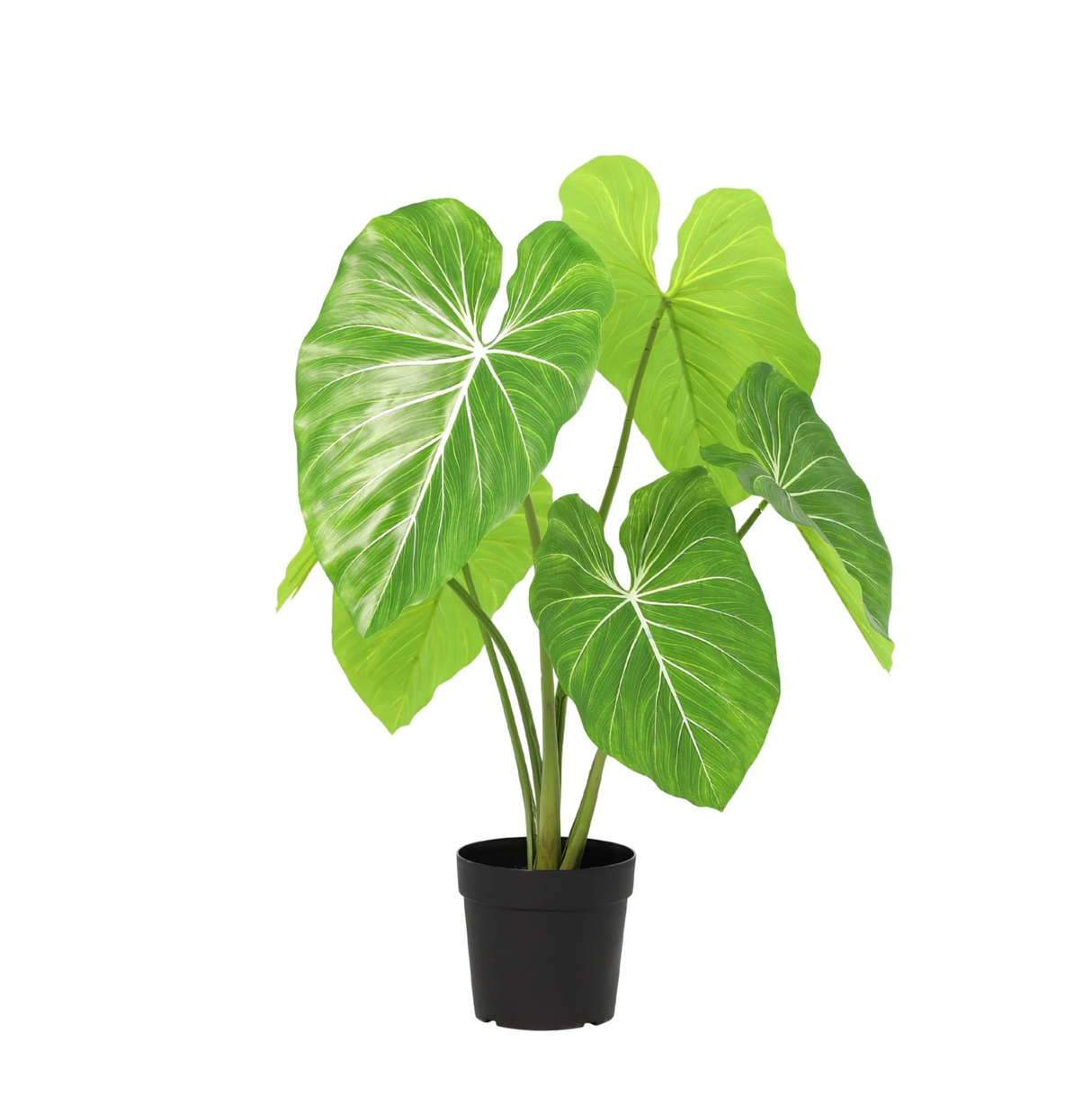 Philodendron artificiel h100cm
