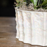 Orchidées Phalaenopsis blanches Botanic Nazare en coupe Oyster - bouquet de 3 - H 30 cm, pots Ø9 cm