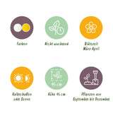 Green boutiQ - Bloembollen - Narcis Double mix - Kleur Geel en Wit - 10 stuks - Bolmaat 12/14 - XXL Pack