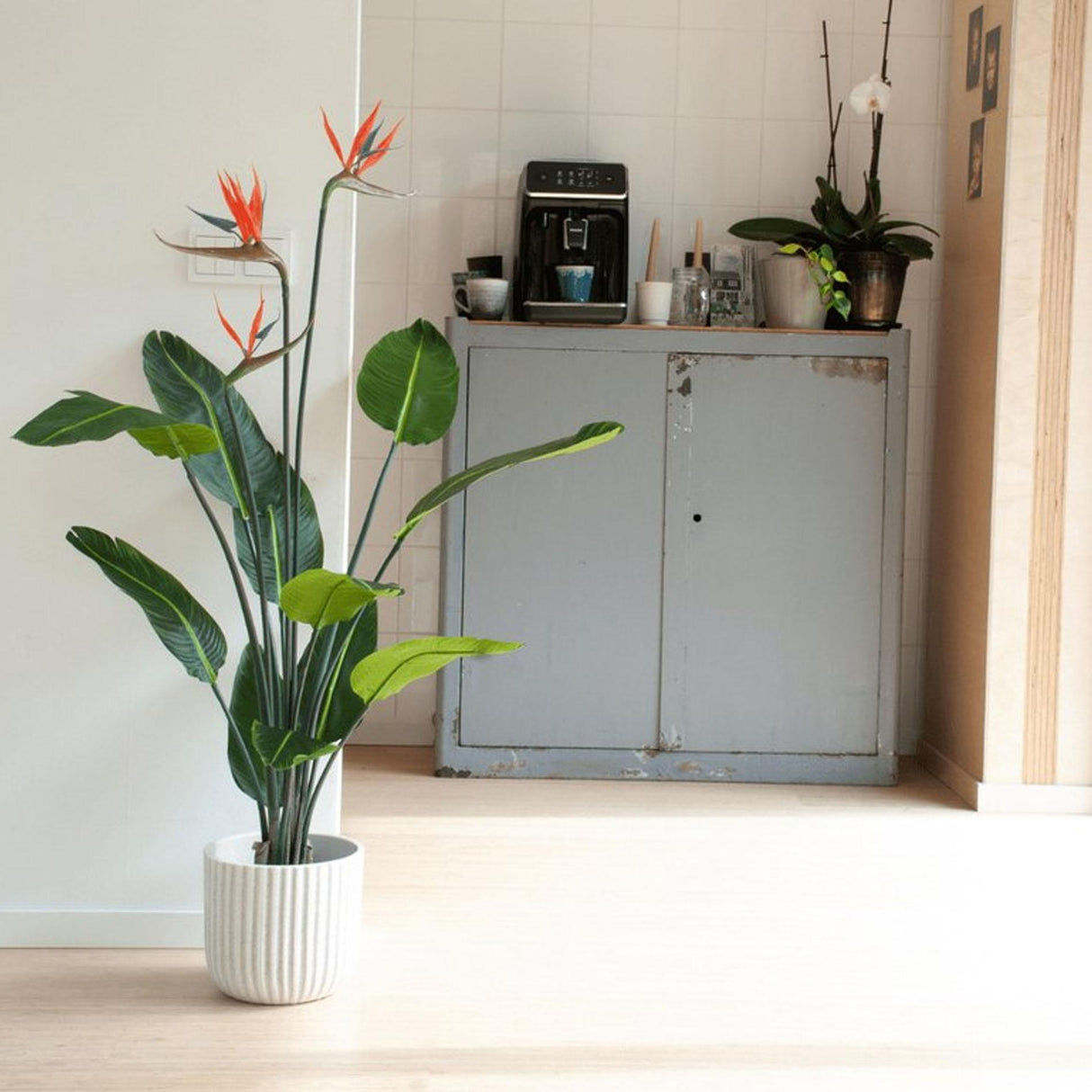 Oiseau du paradis artificiel en pot h120cm