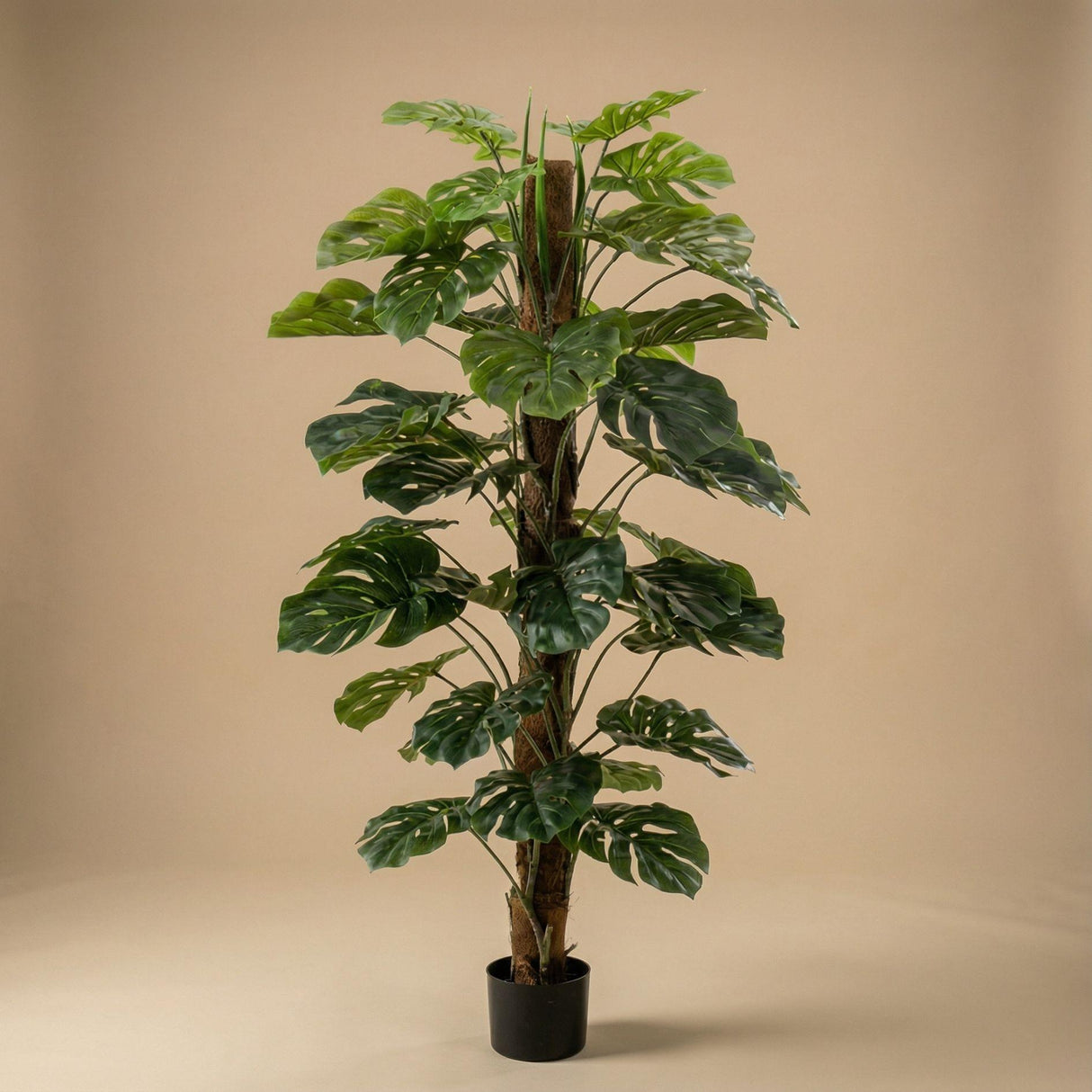 Monstera artificiel h150cm