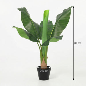 Bananier Musa artificiel h80cm
