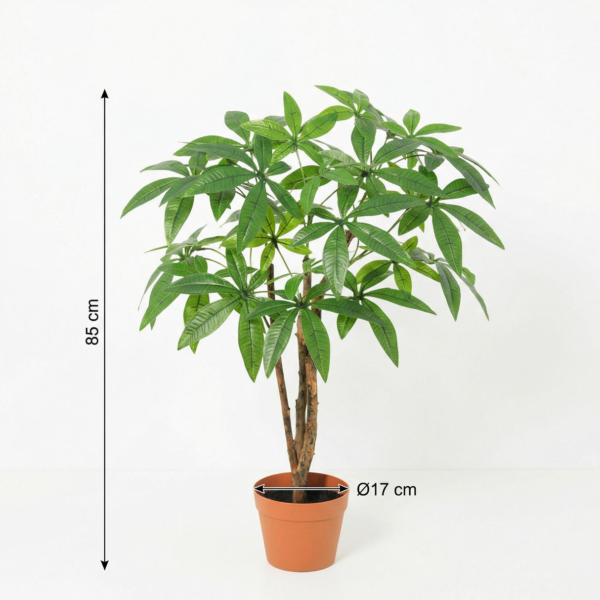 Pachira Aquatica artificiel h86cm