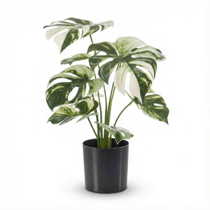 Monstera variegata artificiel h40cm pot inclus