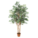 ficus Exotica artificiel h150cm