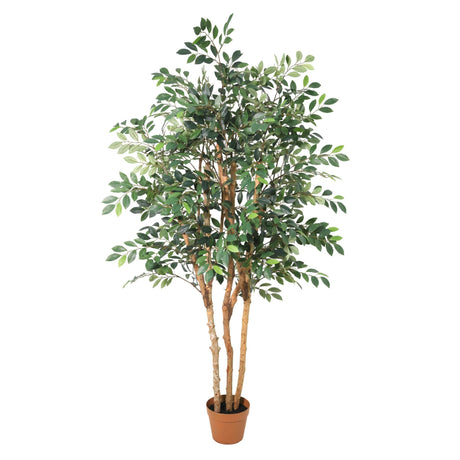 ficus Exotica artificiel h150cm