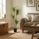 Dracaena plante artificielle h165cm