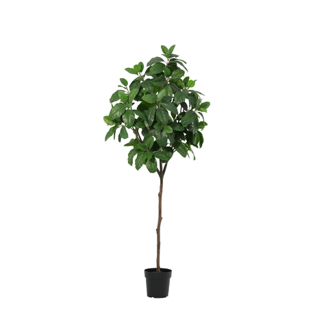 Magnolia arbuste artificiel h190cm
