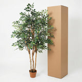 ficus Exotica artificiel h150cm