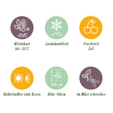 Green boutiQ - Fruitplant - Honingbes - Lonicera caerulea Kamchatika - Blauwe Bes - 2 planten - Pot 15cm Hoogte 50cm