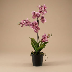 Orchidee Vanda artificielle h60cm