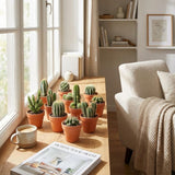 Mini Cactus Mix - 3 Stuks - Ø 8,1 cm - Hoogte: 5-10 cm - Terracotta Potten