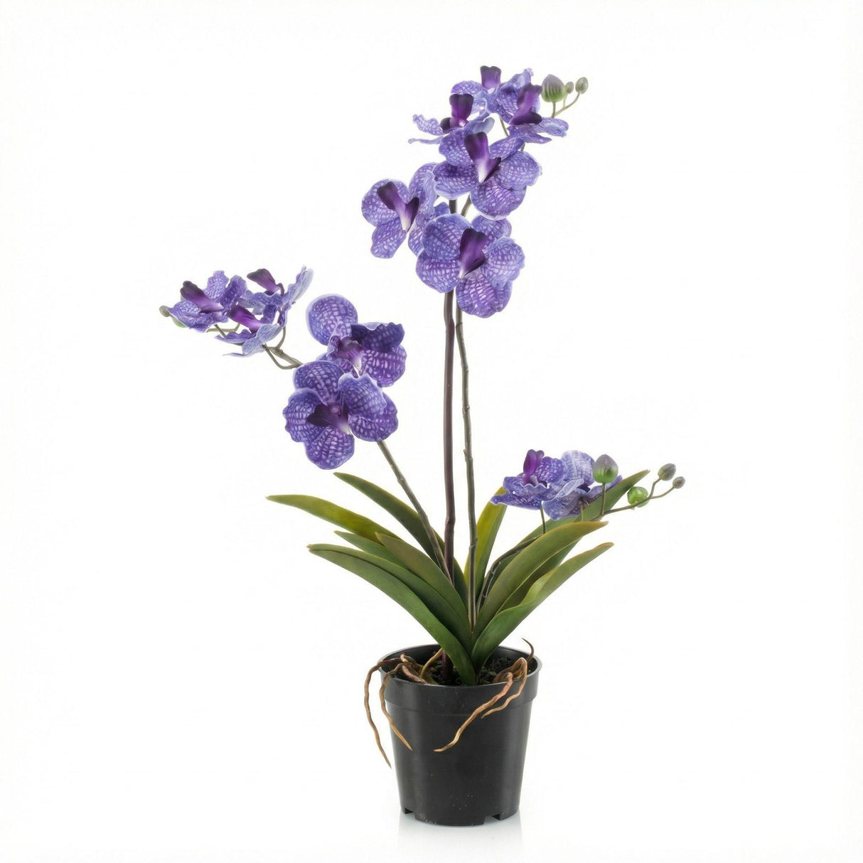 Orchidee Vanda violet artificiel h60cm pot inclus