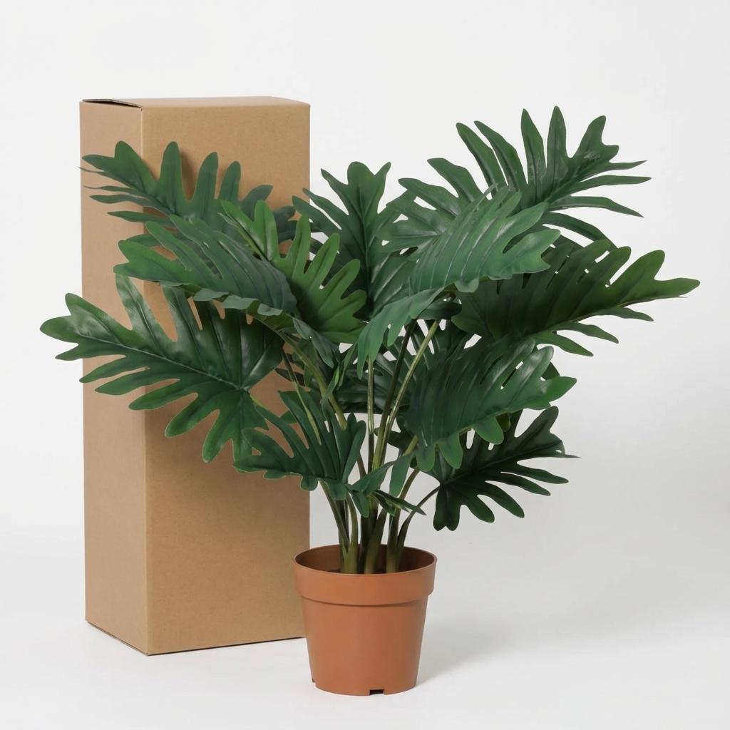 Philodendron Selloum h70cm