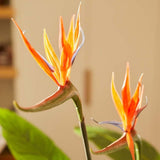 Oiseau du paradis artificiel en pot h120cm