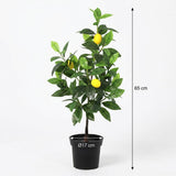 Citronnier artificiel h65cm