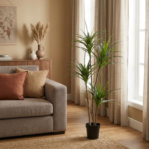 Dracaena plante artificielle h165cm