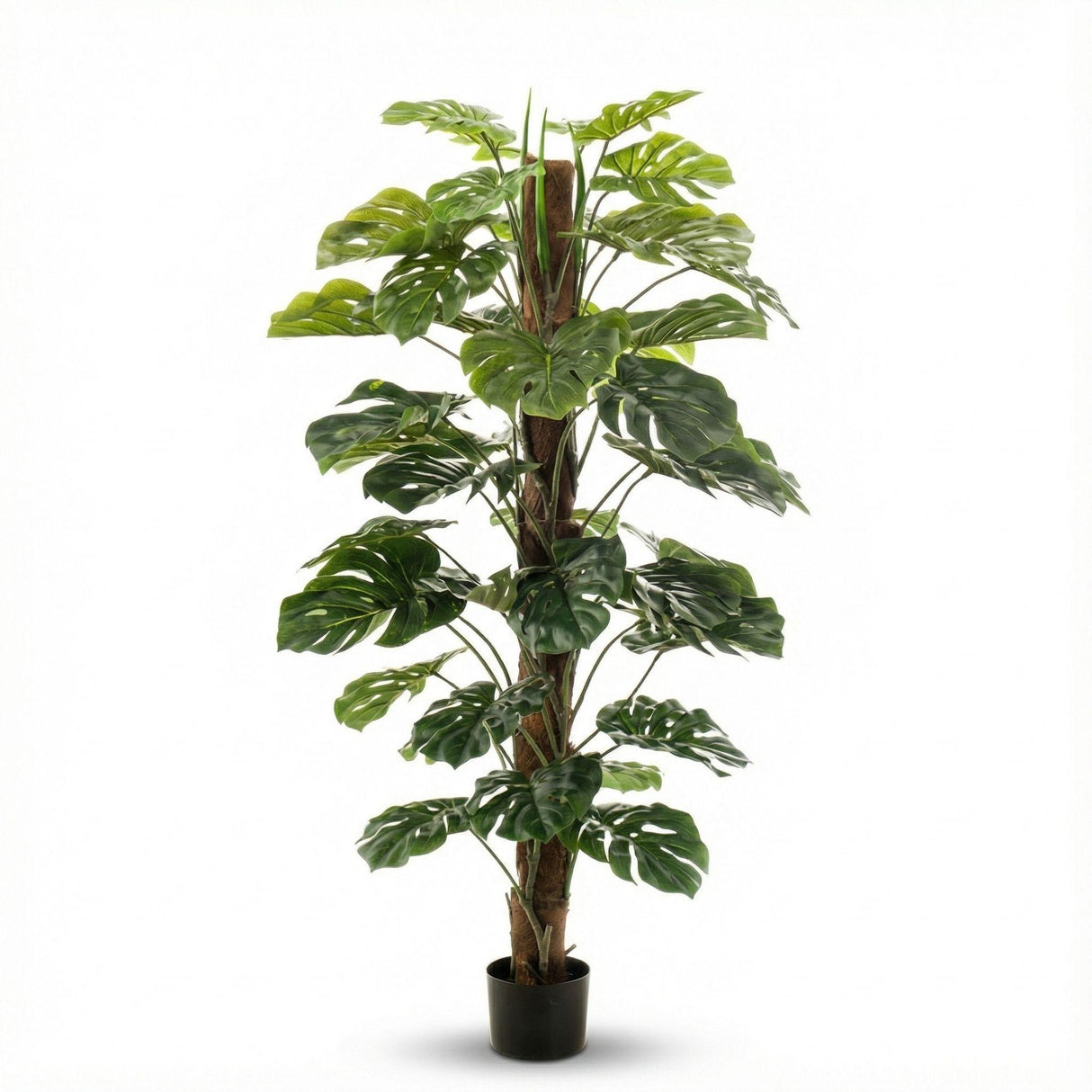 Monstera artificiel h150cm