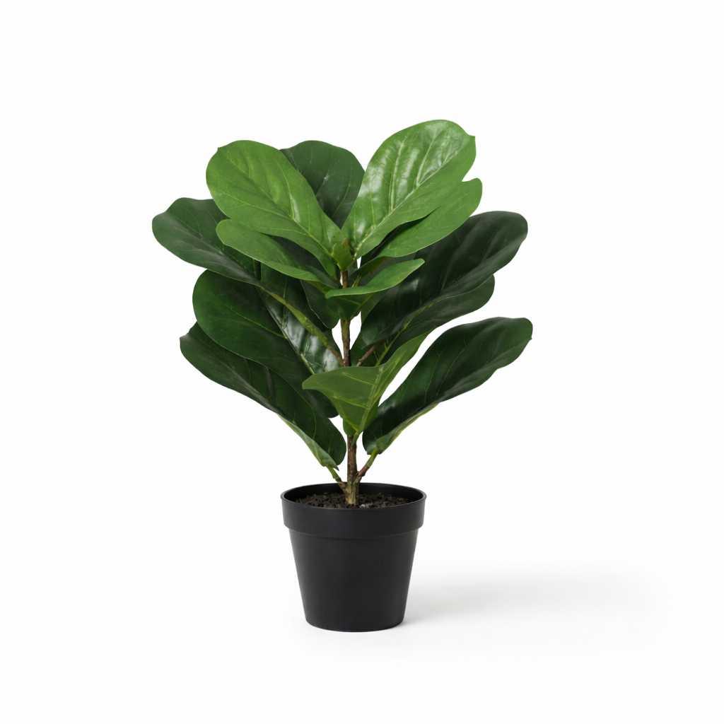 ficus lyrata artificiel h40cm