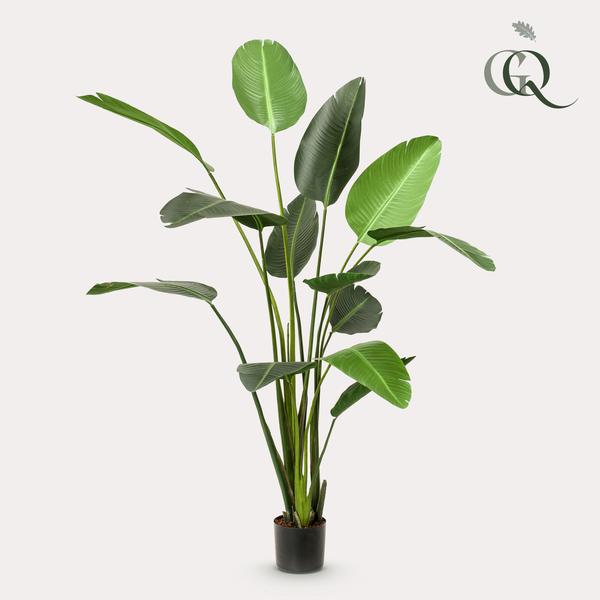 Kunstplante - Strelitzia Nicolai - Paradijsvogelbloem - 230cm