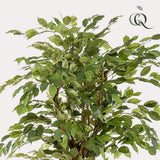 Ficus Liana artificiel h170cm