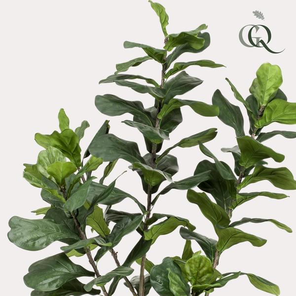 Kunstplante - Ficus Lyrata - Tabaksplante - 210 cm