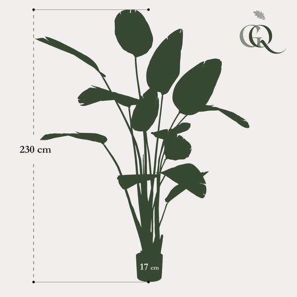 Kunstplante - Strelitzia Nicolai - Paradijsvogelbloem - 230cm