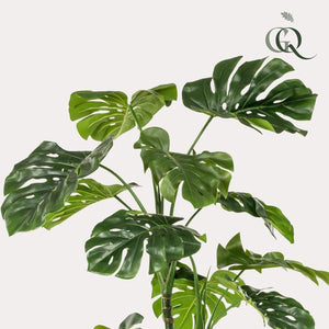 Monstera artificiel h180cm