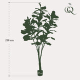 Kunstplante - Ficus Lyrata - Tabaksplante - 210 cm