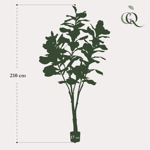 Kunstplante - Ficus Lyrata - Tabaksplante - 210 cm