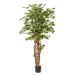 Ficus Liana artificiel h170cm