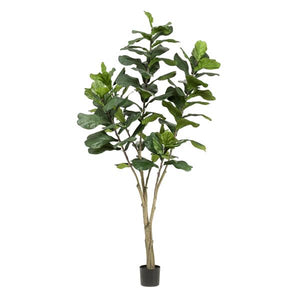 Kunstplante - Ficus Lyrata - Tabaksplante - 210 cm
