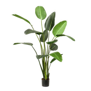 Kunstplante - Strelitzia Nicolai - Paradijsvogelbloem - 230cm