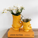 Kolibri orkideer | Witte phalaenopsis orkidé - Nazaré - potmaat Ø9cm | bloeiende kamerplant - vers van de kweker