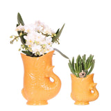 Kolibri orkideer | Sæt med witte orchidee Nazaré i sukkulent i Fish sierpot oranje - potmaat Ø9cm & Ø6cm | bloeiende kamerplant - vers van de kweker