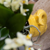 Kolibri Company | Gavesæt Mediterranean Sunset | Plantenset met witte Phalaenopsis Orchidee Lausanne en Sukkulenter inkl. keramik keramik