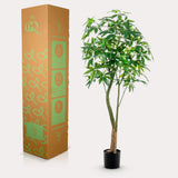 Kunstplante - Pachira Aquatica - Geldboom - 180 cm