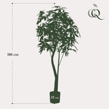 Kunstplante - Pachira Aquatica - Geldboom - 180 cm