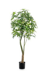 Kunstplante - Pachira Aquatica - Geldboom - 180 cm