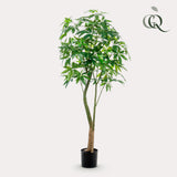 Kunstplante - Pachira Aquatica - Geldboom - 180 cm