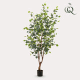 Kunstplante - Eucalyptus - Blå Gomboom - 140cm - 140